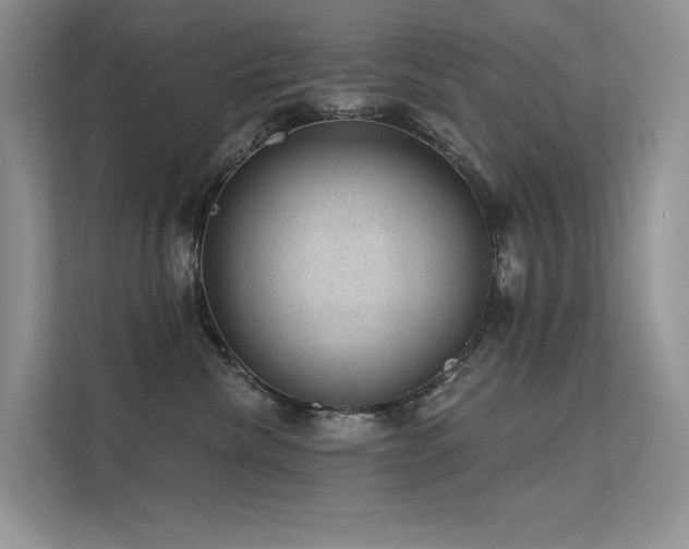 X0000112380476200908131532