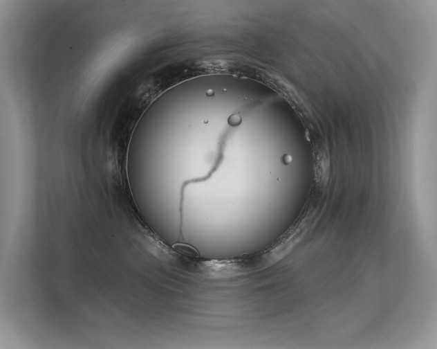 X0000112380477200908131532