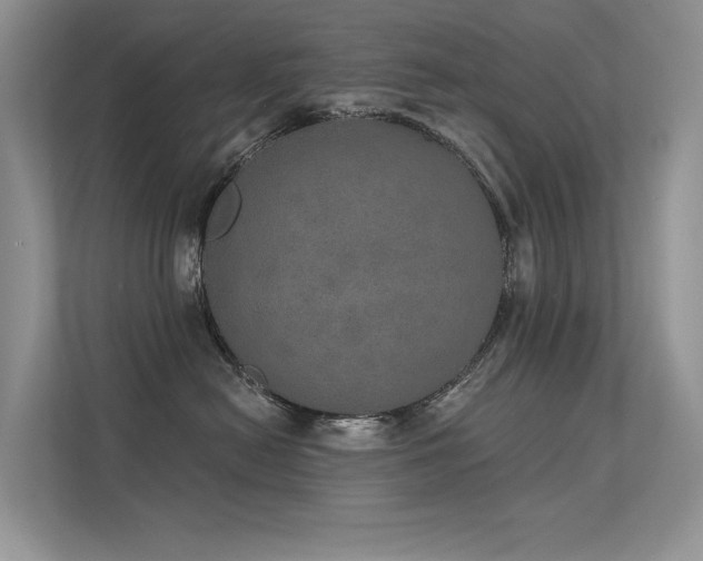 X0000112380478200908131532