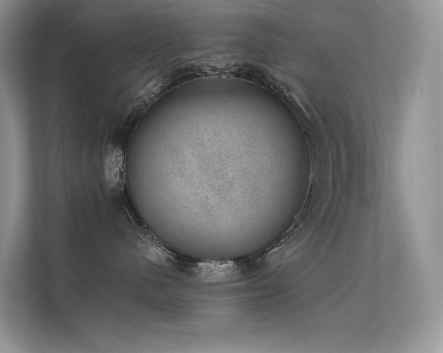 X0000112380480200908131532