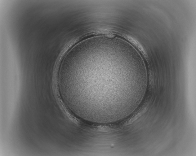 X0000112380481200908131532