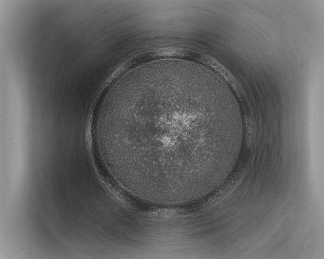 X0000112380482200908131532