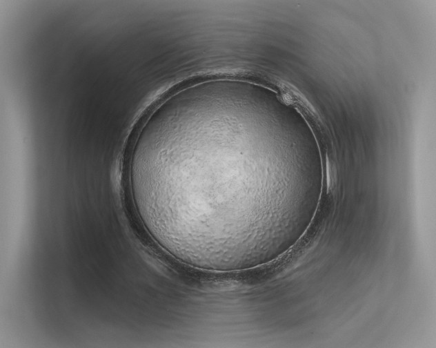 X0000112380483200908131532