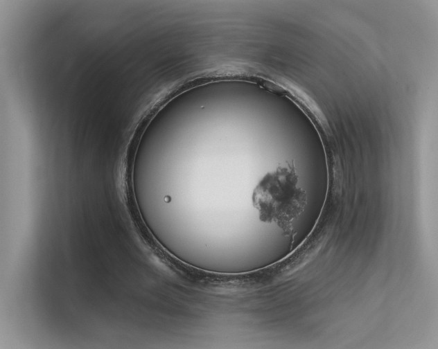 X0000112380485200908131532