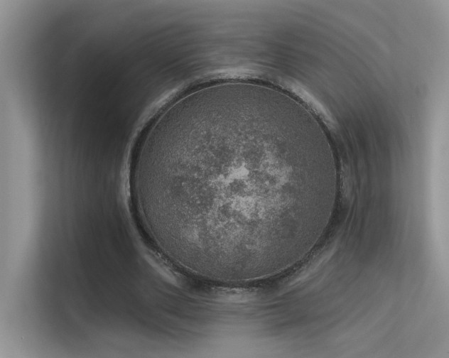 X0000112380486200908131532