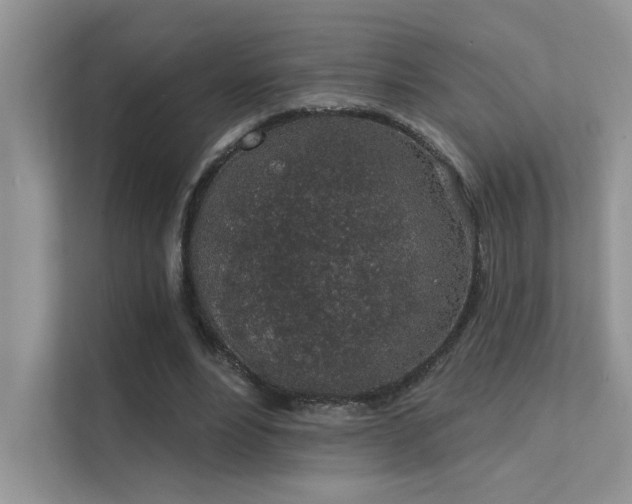 X0000112380488200908131532