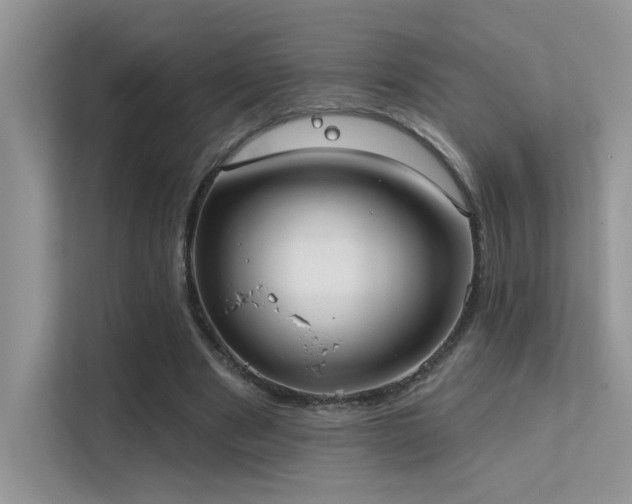 X0000112380489200908131532