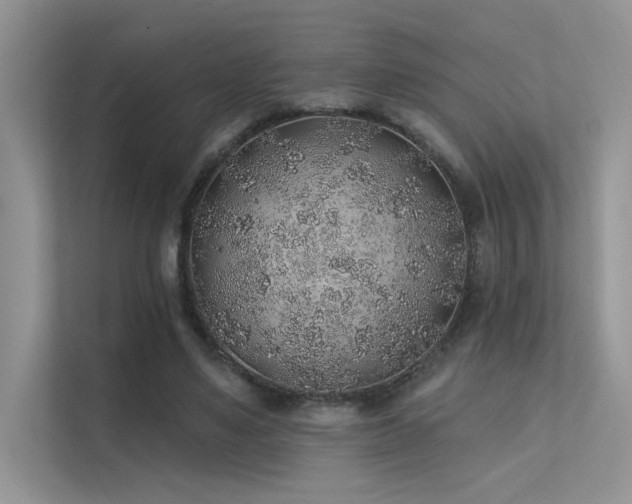 X0000112380491200908131532