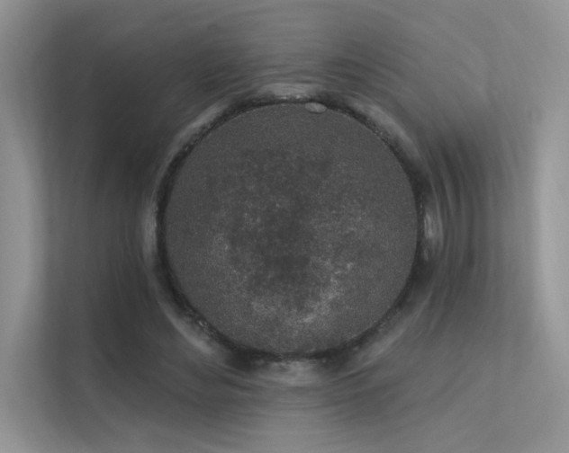 X0000112380492200908131532