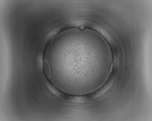 X0000112380493200908131532