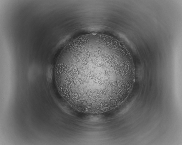 X0000112380495200908131532