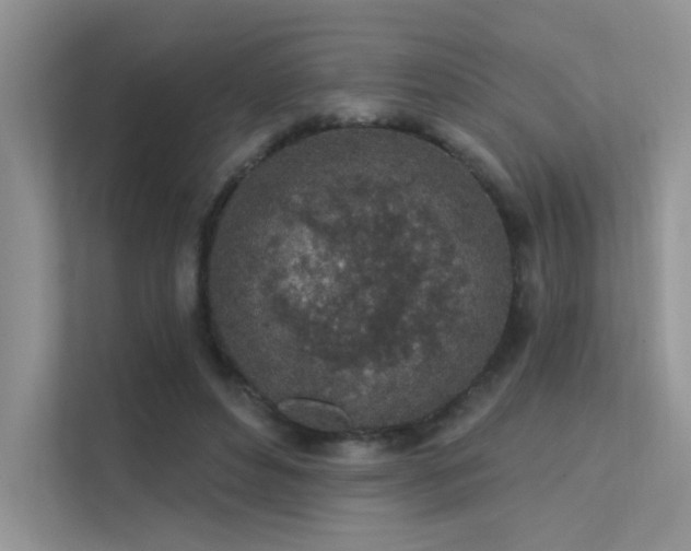 X0000112380496200908131532