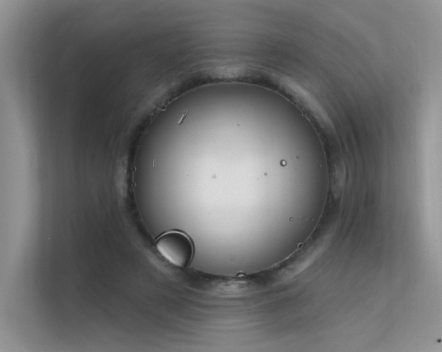 X0000112380497200908131532