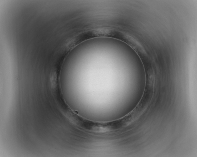 X0000112380498200908131532