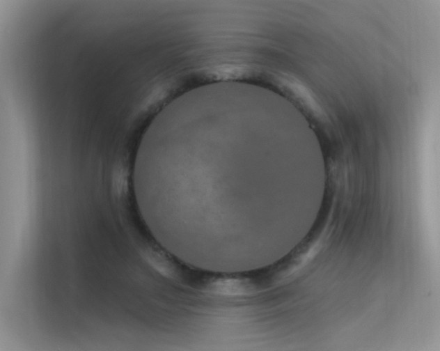 X0000112380499200908131532