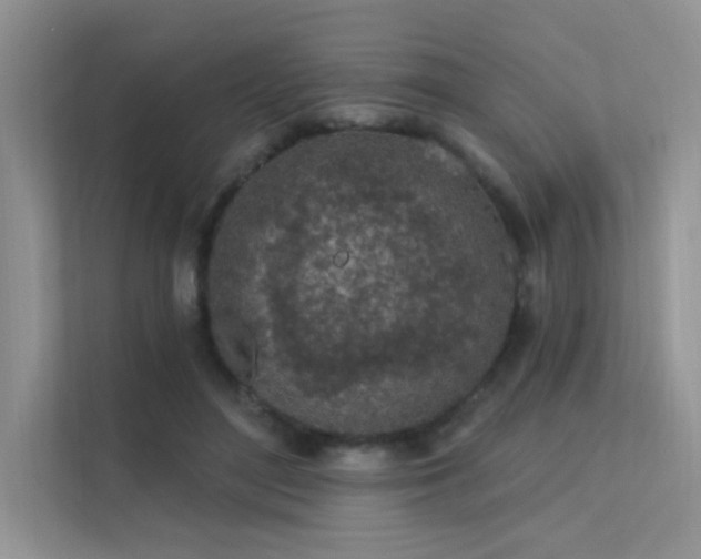 X0000112380500200908131532