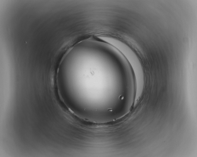 X0000112380501200908131532