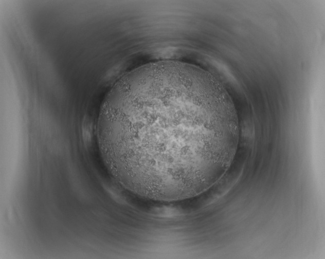 X0000112380503200908131532