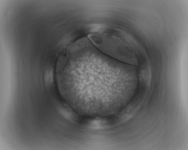 X0000112380504200908131532