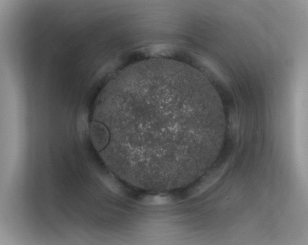 X0000112380506200908131532