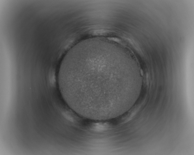 X0000112380508200908131532