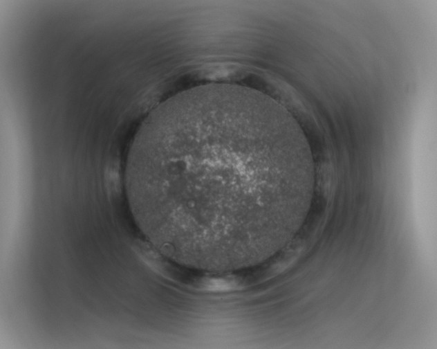 X0000112380510200908131531