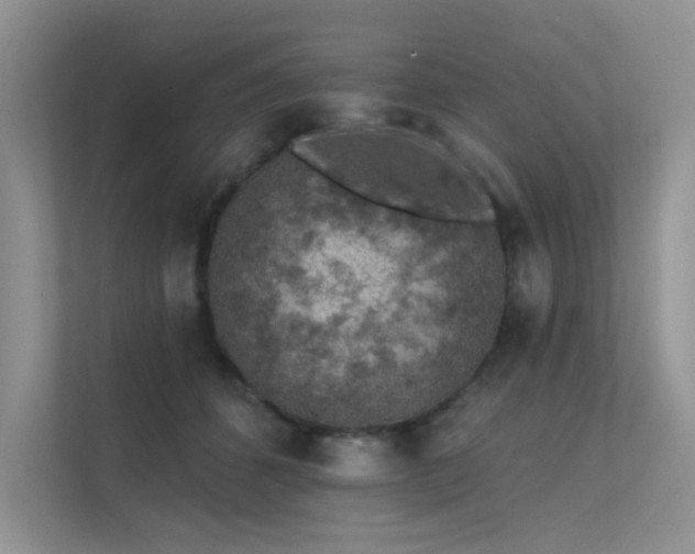 X0000112380512200908131531