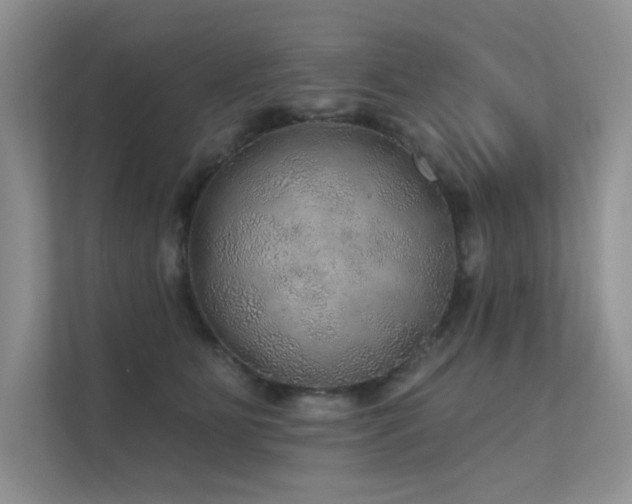 X0000112380515200908131531