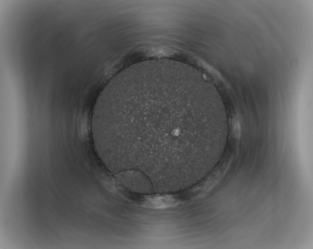 X0000112380517200908131531