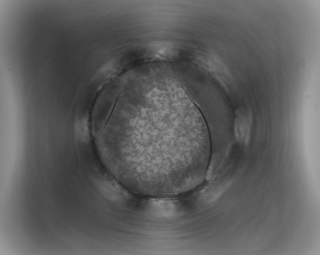 X0000112380520200908131531