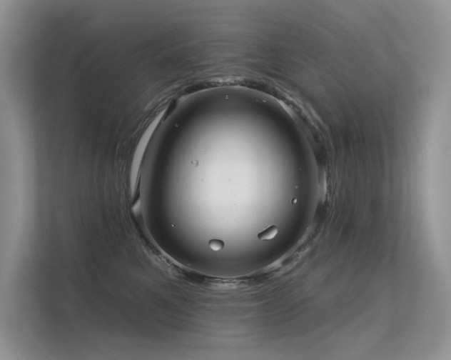 X0000112380521200908131531