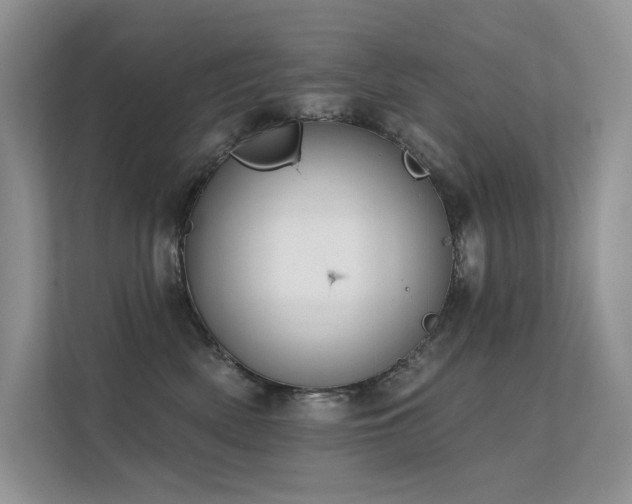 X0000112380522200908131531