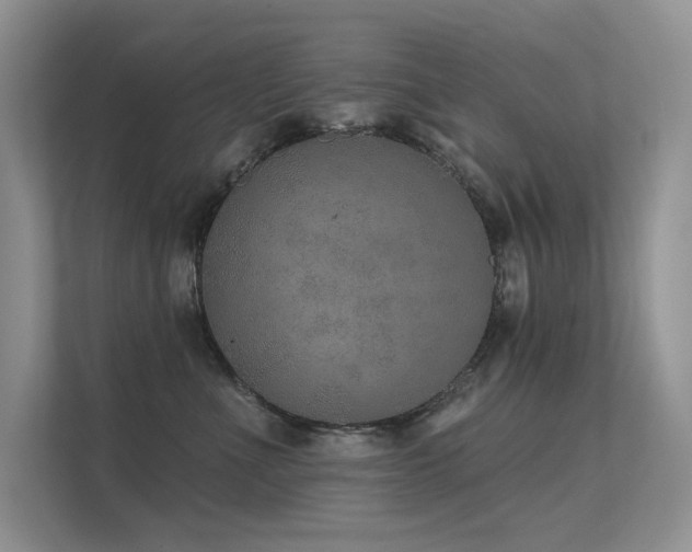 X0000112380523200908131531