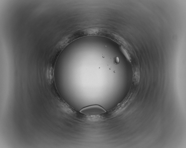 X0000112380525200908131531