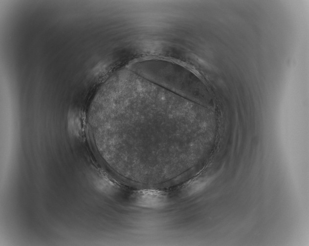 X0000112380528200908131531