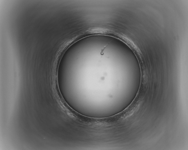 X0000112380529200908131531