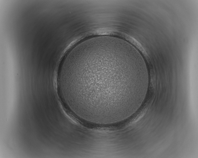 X0000112380530200908131531