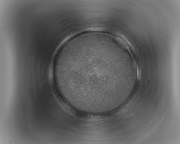 X0000112380531200908131531