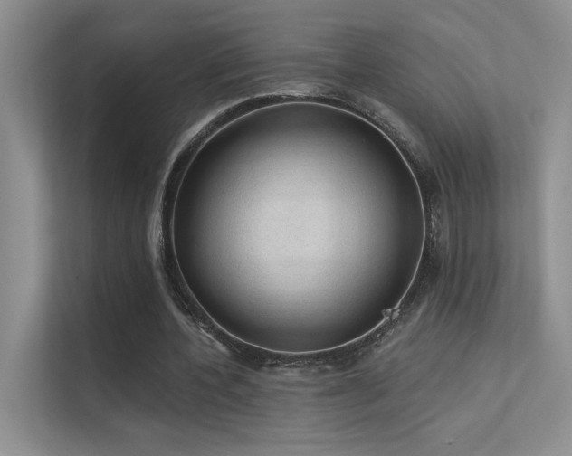 X0000112380532200908131531