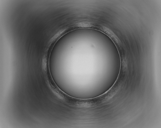 X0000112380533200908131531