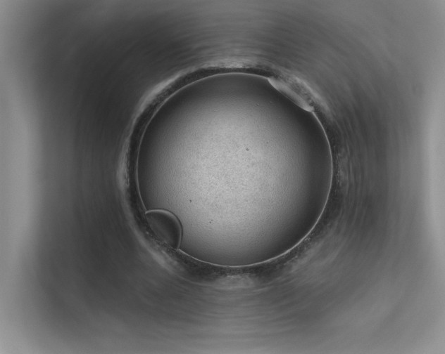 X0000112380536200908131531