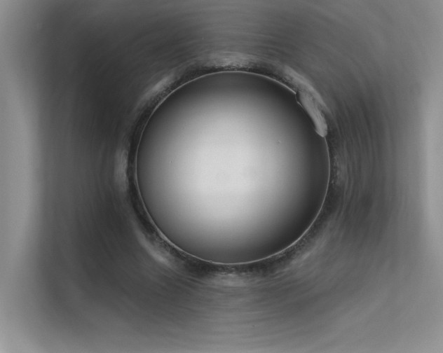 X0000112380538200908131531