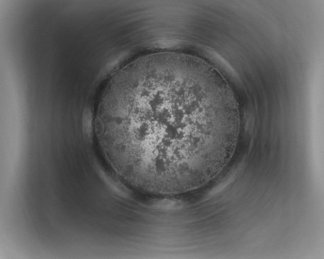 X0000112380542200908131531