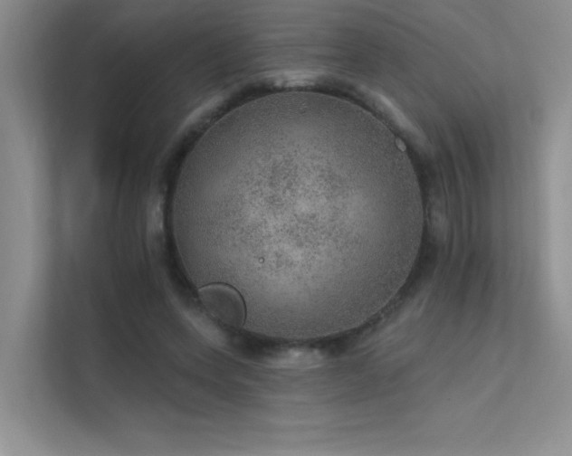 X0000112380543200908131531