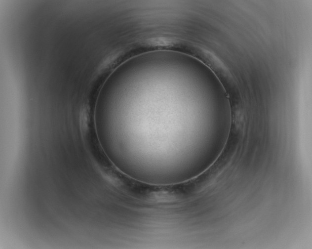 X0000112380544200908131531