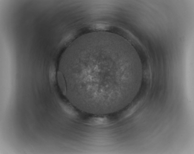 X0000112380552200908131531