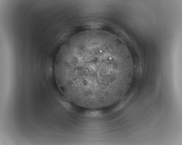 X0000112380553200908131531