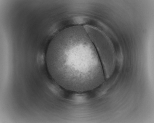 X0000112380556200908131531