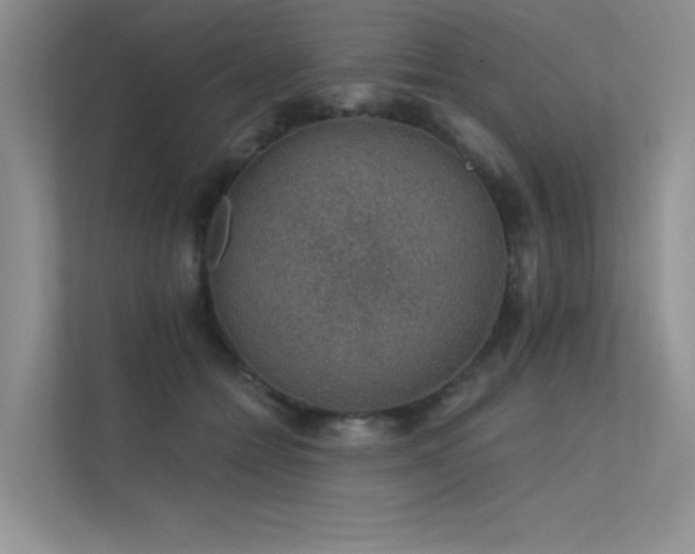 X0000112380558200908131531