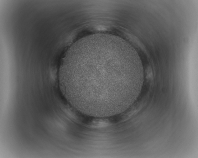 X0000112380559200908131531